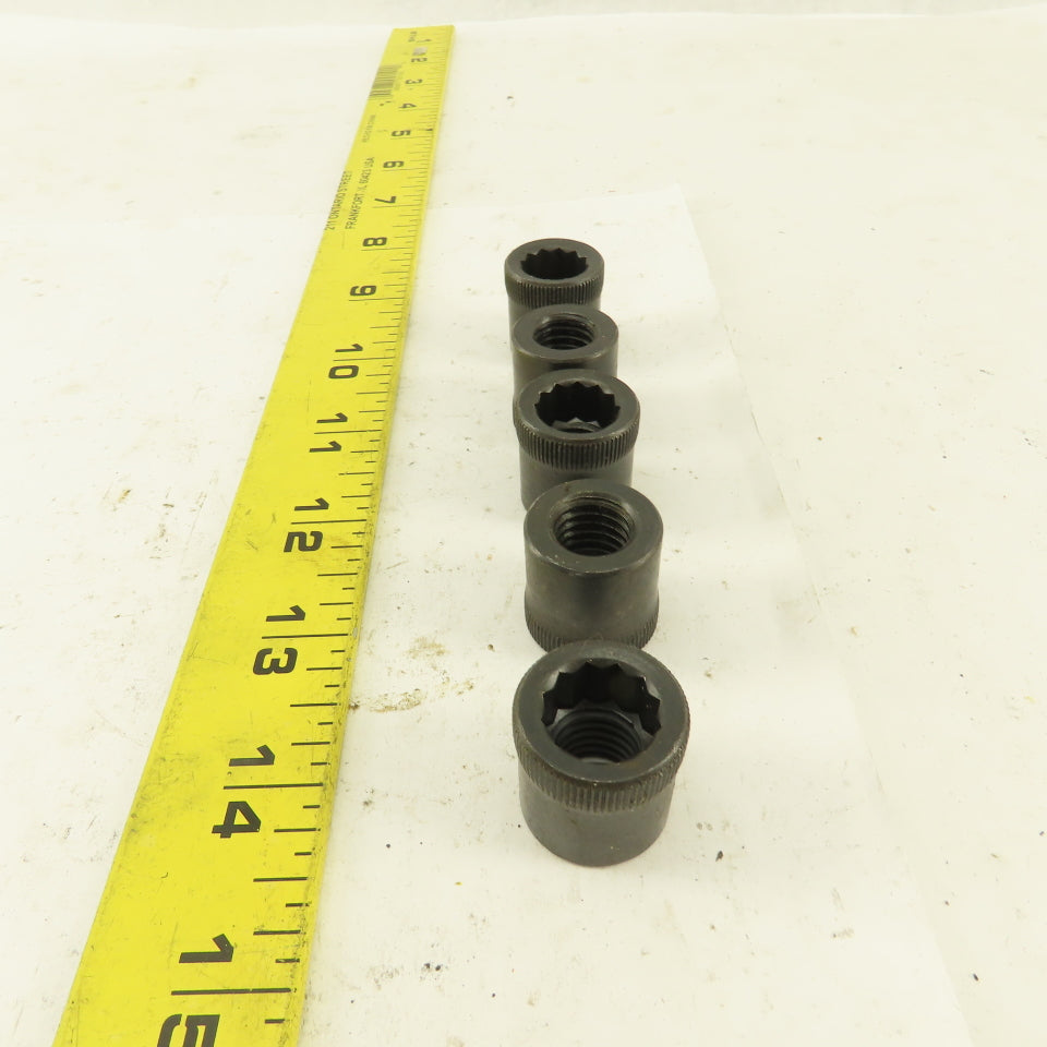 M12-1.75 Internal Threaded Steel Socket Allen Nut Lot Of 5