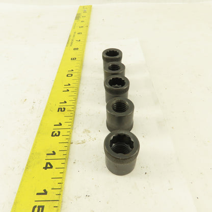 M12-1.75 Internal Threaded Steel Socket Allen Nut Lot Of 5
