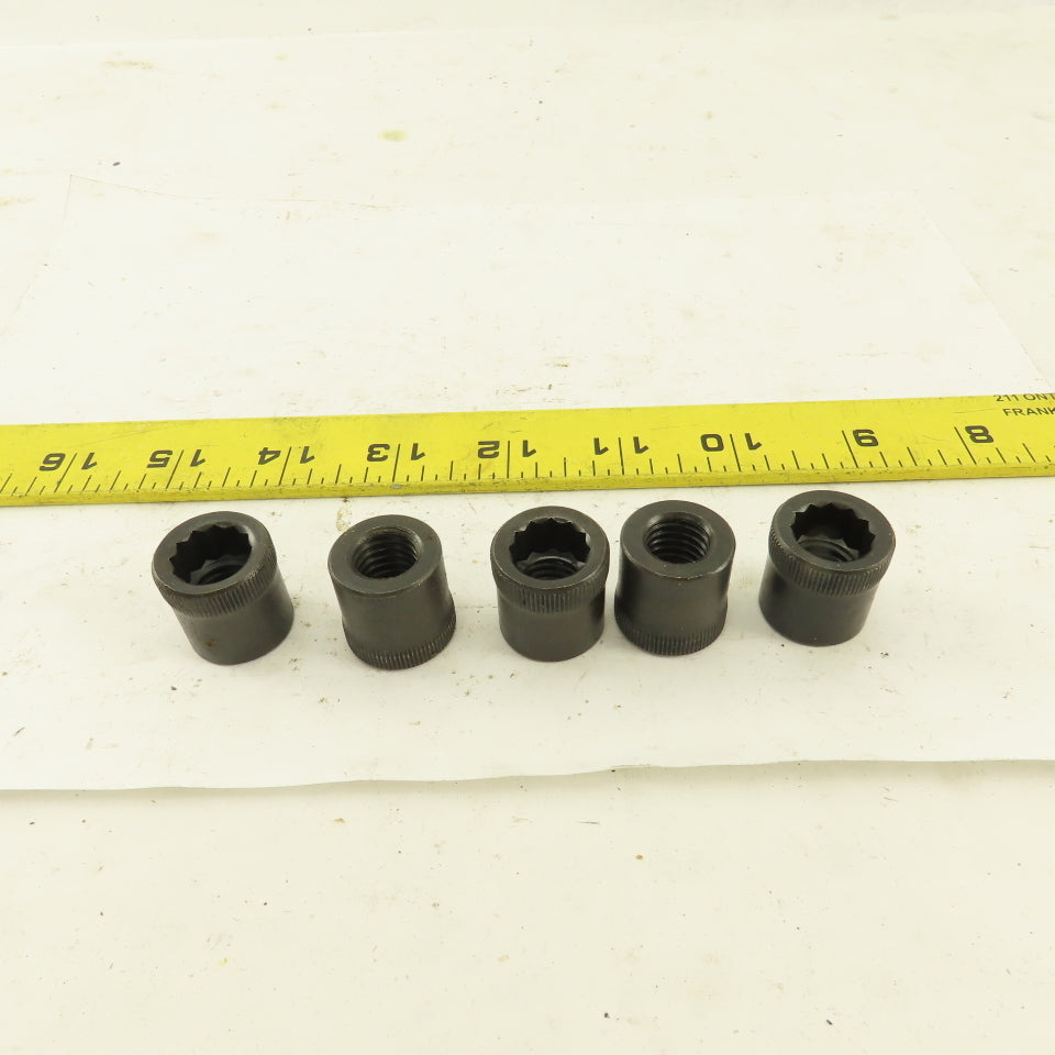 M12-1.75 Internal Threaded Steel Socket Allen Nut Lot Of 5