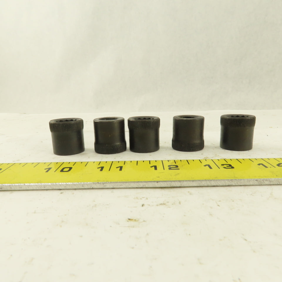 M12-1.75 Internal Threaded Steel Socket Allen Nut Lot Of 5
