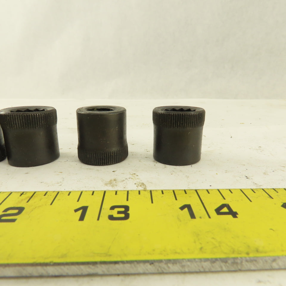 M12-1.75 Internal Threaded Steel Socket Allen Nut Lot Of 5