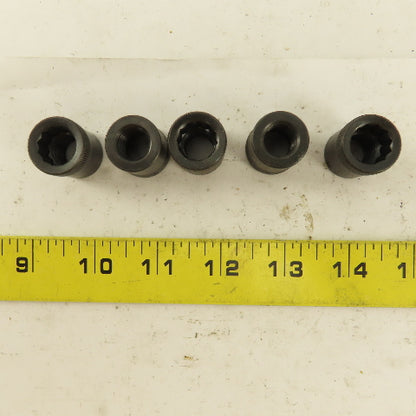 M12-1.75 Internal Threaded Steel Socket Allen Nut Lot Of 5