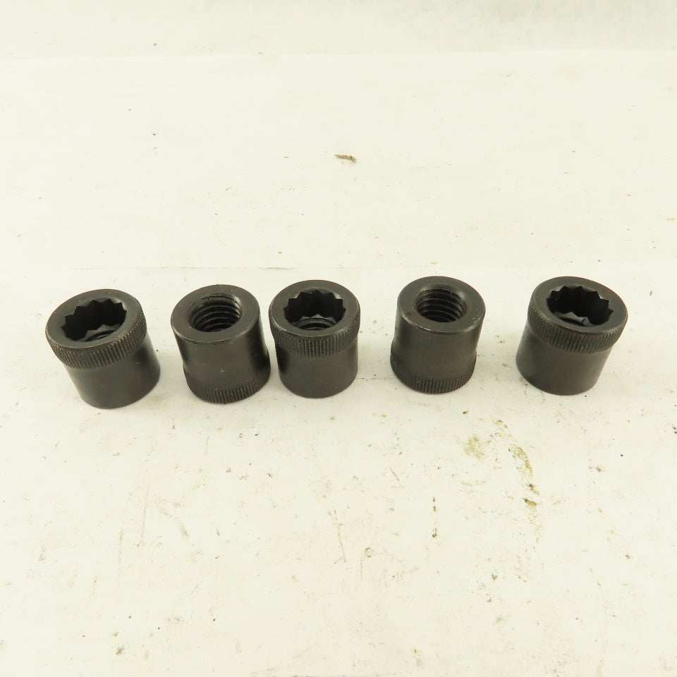 M12-1.75 Internal Threaded Steel Socket Allen Nut Lot Of 5