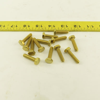 1/4-20 x 1" Full Thread Brass Hex Head Bolt Lot Of 13