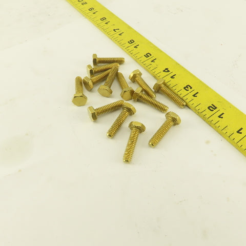 1/4-20 x 1" Full Thread Brass Hex Head Bolt Lot Of 13