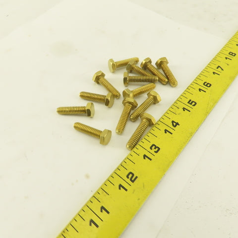 1/4-20 x 1" Full Thread Brass Hex Head Bolt Lot Of 13