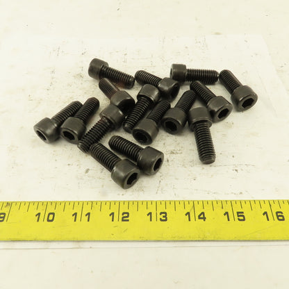 1/2-13 x 1-1/4" SHCS Socket Head Cap Screw Lot Of 15