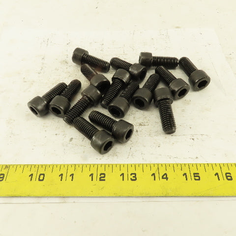 1/2-13 x 1-1/4" SHCS Socket Head Cap Screw Lot Of 15