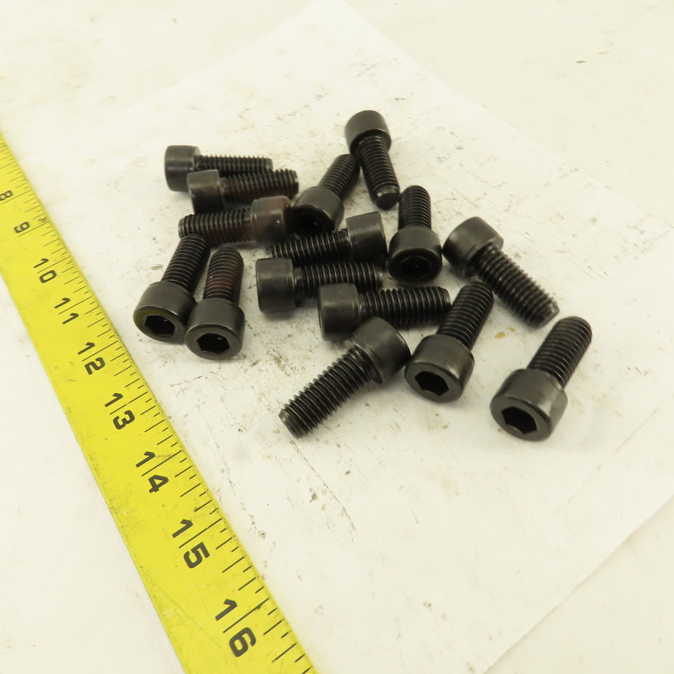 1/2-13 x 1-1/4" SHCS Socket Head Cap Screw Lot Of 15