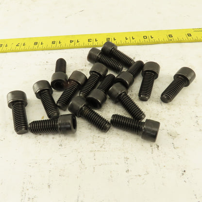 1/2-13 x 1-1/4" SHCS Socket Head Cap Screw Lot Of 15