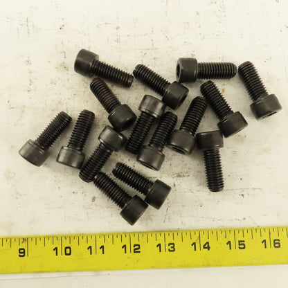 1/2-13 x 1-1/4" SHCS Socket Head Cap Screw Lot Of 15