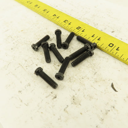 1/4-20 x 1" Low Profile SHCS Socket Head Cap Screw Lot Of 10