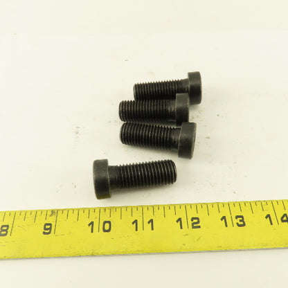 M16-2.0 x 40mm Gr. 8.8 SHCS Low Head Socket Head Cap Screw Lot Of 4
