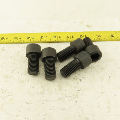 M16-2.0 x 30mm SHCS Gr. 8.8 Socket Head Cap Screw Lot Of 5