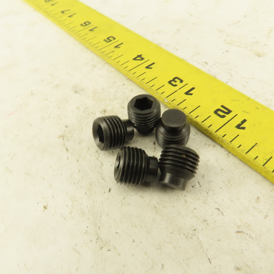 1/2"-20 x 1/2" Half Dog Point Socket Head Set Screw Lot Of 5