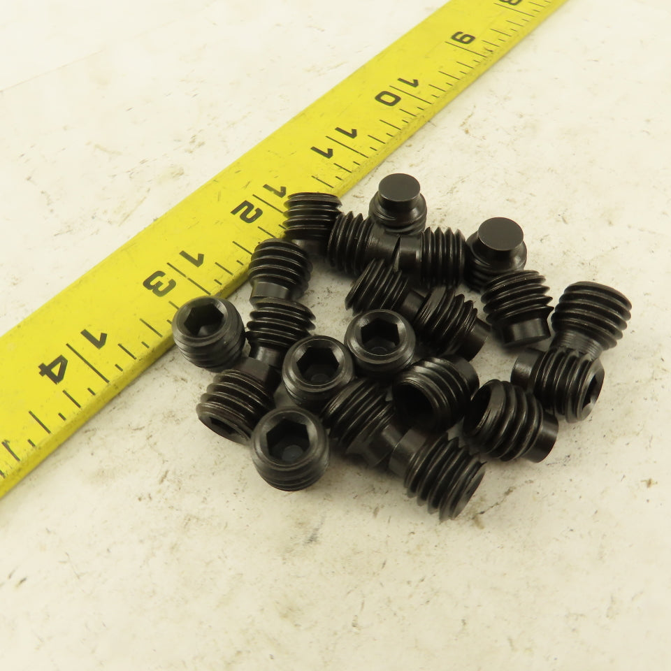 1/2"-13 x 1/2" Half Dog Point Socket Head Set Screw Lot Of 20