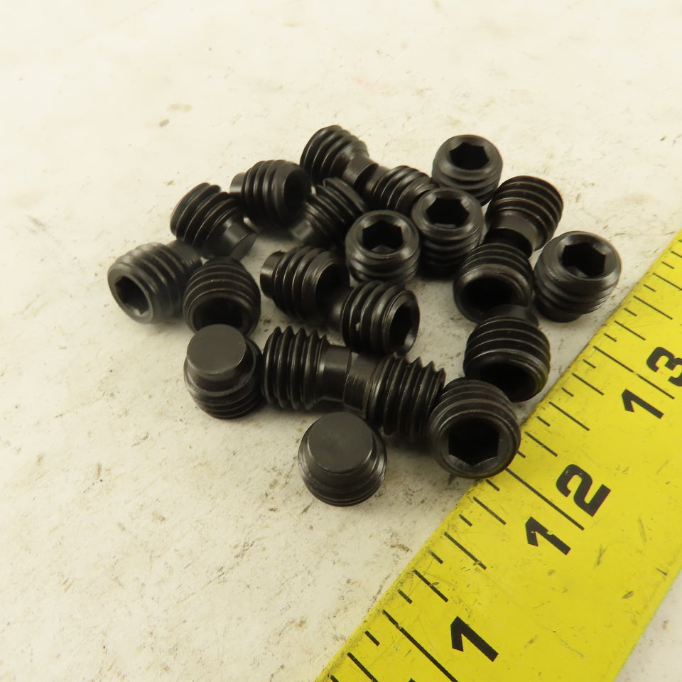 1/2"-13 x 1/2" Half Dog Point Socket Head Set Screw Lot Of 20