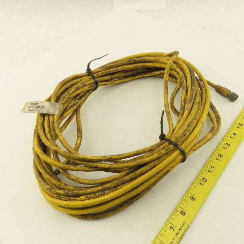 Banner QDU-550C Micro Screen Cable 40'
