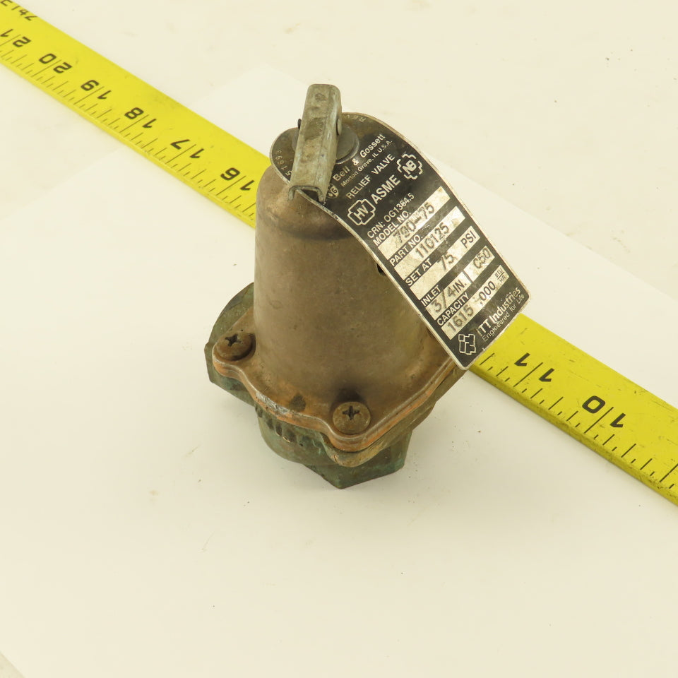 Bell & Gossett 110125 790-75 Pressure Relief Valve 75PSI Set 3/4" NPT