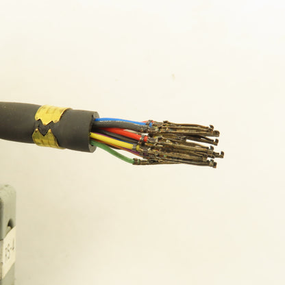 CRS16 2004-T978 RS-4 20 Pin Female Robot Cable 42'