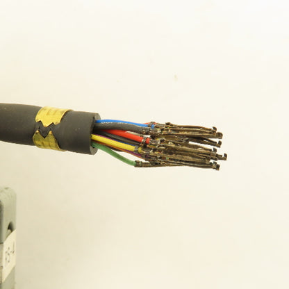 CRS16 2004-T978 RS-4 20 Pin Female Robot Cable 42'