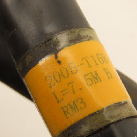 2005-T168 AWM 2464 VW-1 12 Pin Male 12 Pin Female Robot Cable 42'
