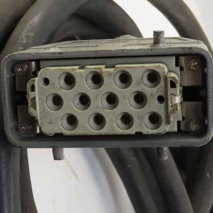 2005-T168 AWM 2464 VW-1 12 Pin Male 12 Pin Female Robot Cable 42'