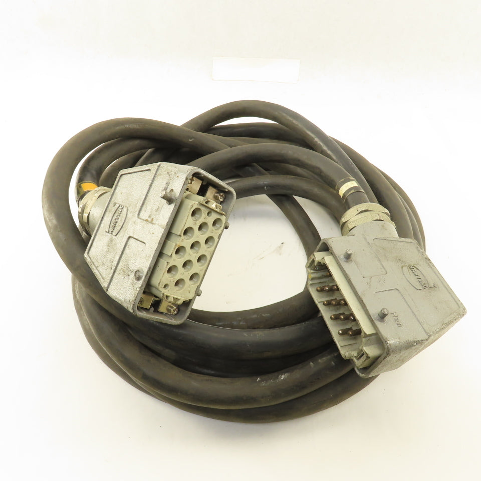 2005-T168 AWM 2464 VW-1 12 Pin Male 12 Pin Female Robot Cable 42'