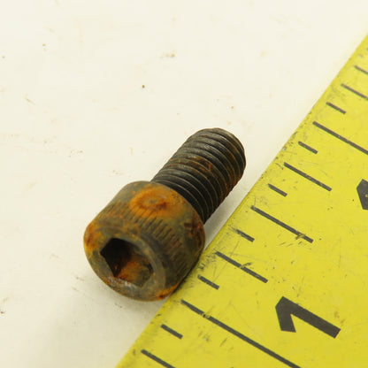 1/4"-28 x 1/2" Socket Head Cap Screw Bolt SHCS Lot Of 200