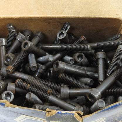 Blue Devil 1/4"-20 x 2" Socket Head Cap Screw Bolt SHCS Lot Of 95