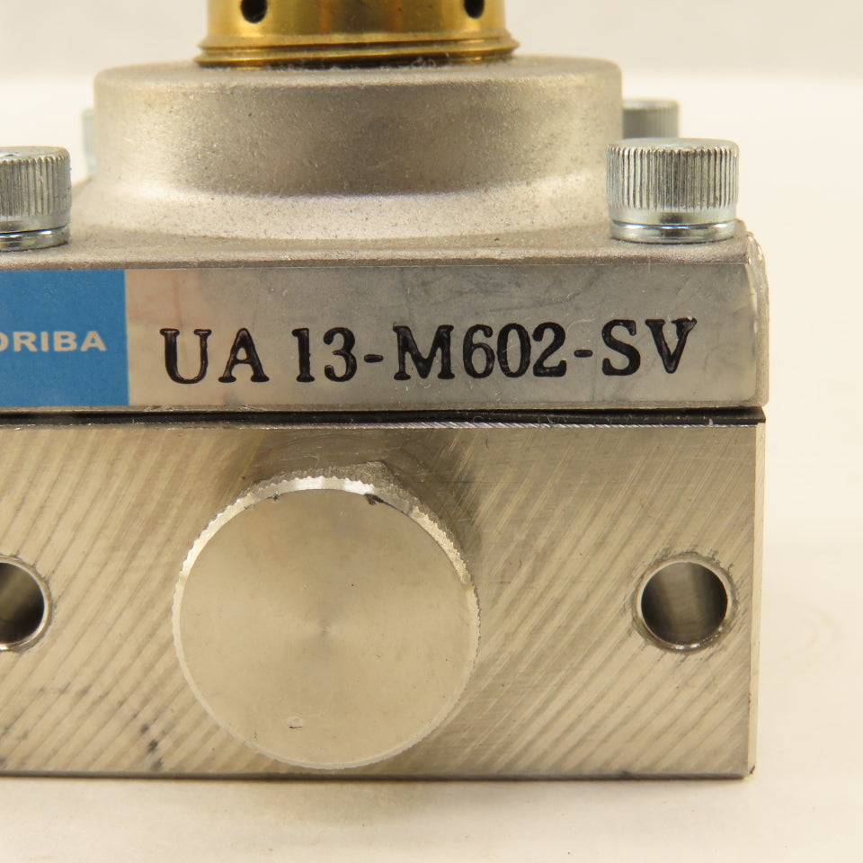Horiba UB 13-M602-SV Regulator