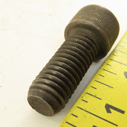 1/2"-13 x 1-1/4" Alloy Steel Black Oxide Socket Head Cap Screw SHCS Lot Of 30