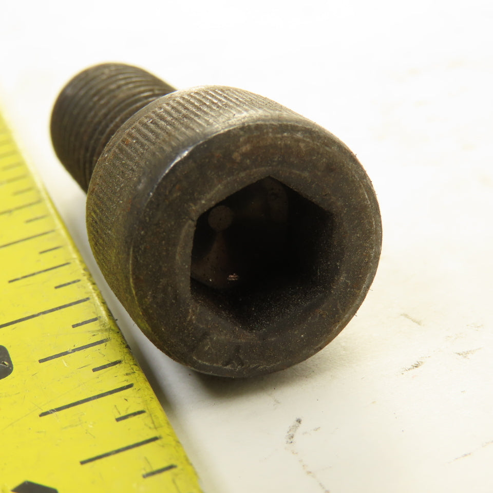 1/2"-13 x 1-1/4" Alloy Steel Black Oxide Socket Head Cap Screw SHCS Lot Of 30