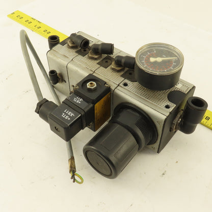Multiport Pressure Regulator Manifold W/ Switch .5-10 Bar