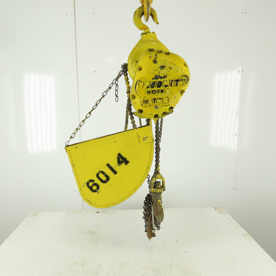 Budgit 112711 500LB 16 FPM 12' Lift Electric Roller Chain Hoist 440V 3 Phase