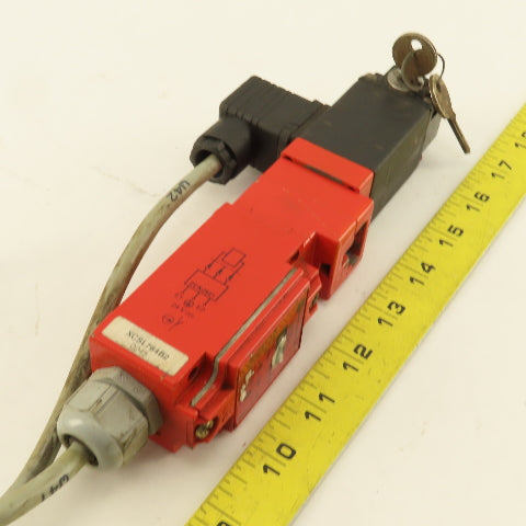 Telemecanique XCS-L Safety Interlock 250V