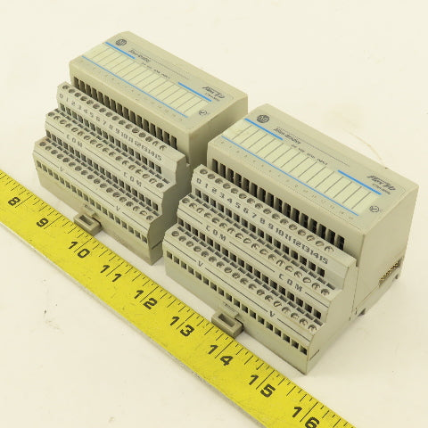 Allen Bradley 1794-1B16 Flex I/O 24VDC Sink 16 Point Input Module Lot Of 2