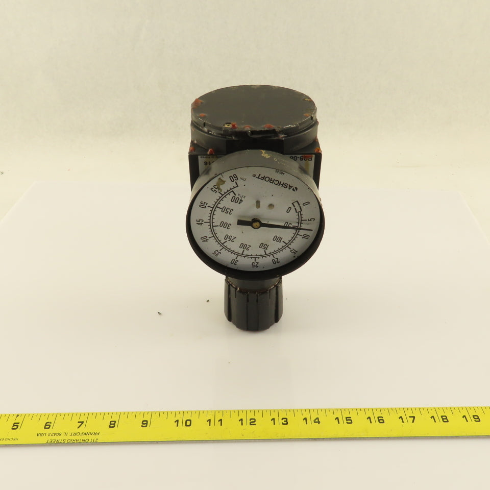 Wilkerson R3908FOGO Pneumatic Regulator " NPT p Max 250psi Temp Max175°