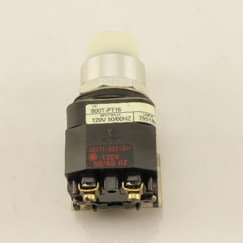 Allen Bradley 800T-PT16 120V 50/60Hz Illuminated Push Button Switch White
