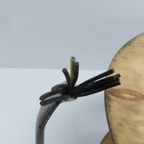 Belden Infinity 7427A 16AWG 12 Cond 600V Flexible Robot Automation Cable 250'