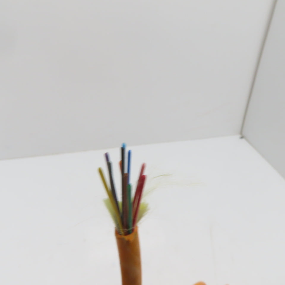 Fiberdyne Labs 12x62.5/125UM 12 Conductor OFNR FT4 Indoor Fiber Optics Cable 56'