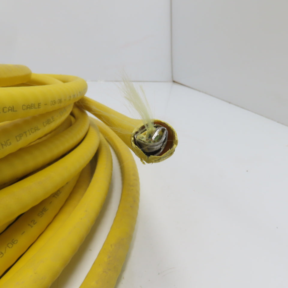 Corning Optical 03/06 12 SME TB2 12 Strand Armored Fiber Optical Cable 78'