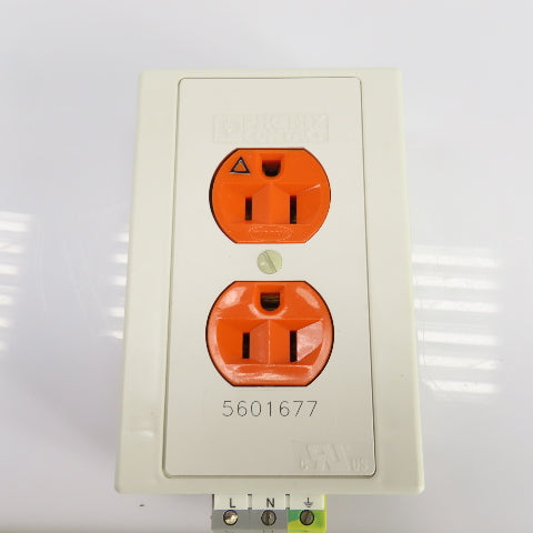 Phoenix Contact EM-DUO 120/15/IG Rail-Mounted Dual Power Outlet 120VAC 15A