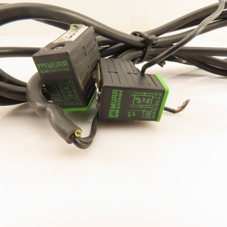 Murr Elektronik 7000-80021-6160300 24V Solenoid Coil Cable Connector Lot Of 2