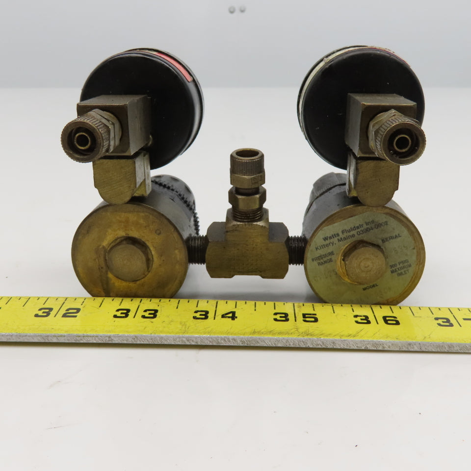 Watts Fluidair R364-01CK Dual Air Pressure Regulator Assembly Brass 1/8NPT