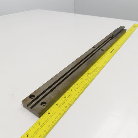 Steel Limit Switch Dog Rail 6mm 2 Groove 48mm x 650mm