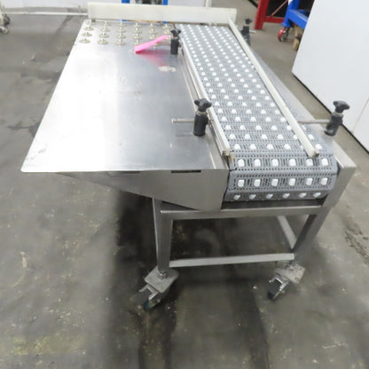 54" Stainless Steel Slide Bed Transfer Conveyor 12" Plastic Chain Belt 30FPM 3Ph