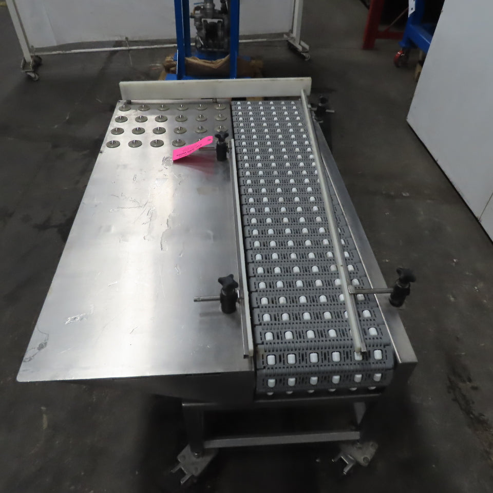 54" Stainless Steel Slide Bed Transfer Conveyor 12" Plastic Chain Belt 30FPM 3Ph