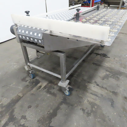 54" Stainless Steel Slide Bed Transfer Conveyor 12" Plastic Chain Belt 30FPM 3Ph