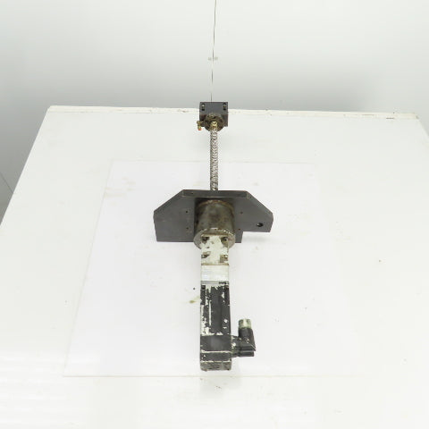 Servo Driven Ball Screw W/Nut Assembly 11" Travel 28" OAL